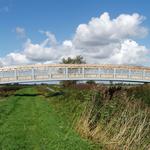 Wicken Fen Wicken Fen